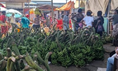 Mercado fronterizo de Dajabón vive desplome de ventas que afectan vendedores dominicanos
