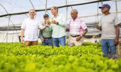 Producirám 15 mm de plantas de tabaco para zafra 2025-2026