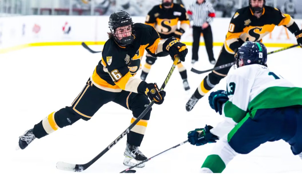 Cómo, en el hockey, un defensor decide la entrada en la zona imagen