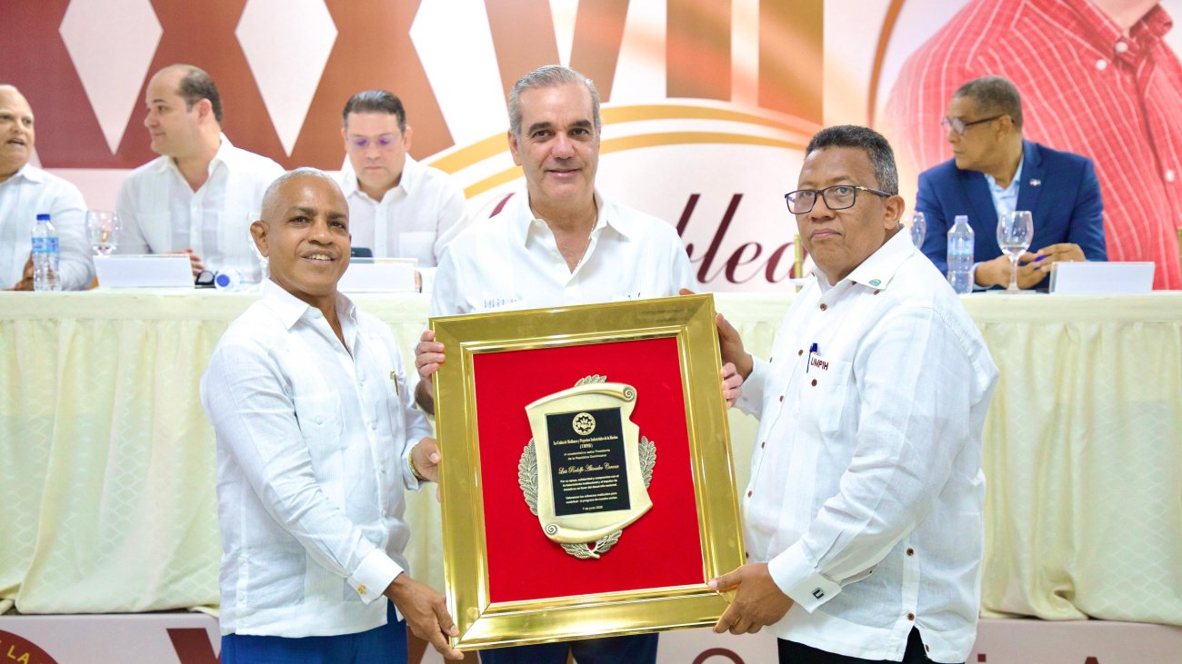 Abinader reafirma respaldo a productores nacionales harina imagen