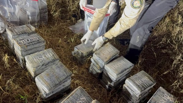 DNCD apresa tres movilizaban 237 paquetes de cocaína imagen