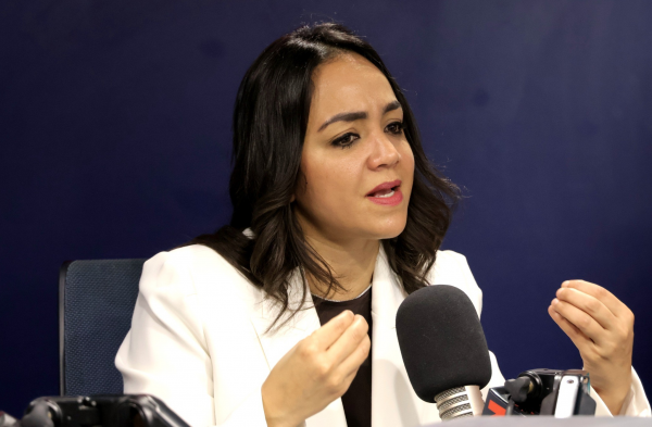 Faride Raful dice que acatará fallo TC sobre venta de alcohol imagen
