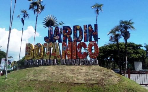 Actividades Festival de Plantas en octubre Botánico Nacional imagen