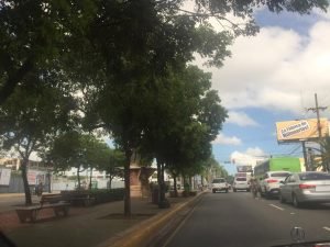 Calle SD arborizada